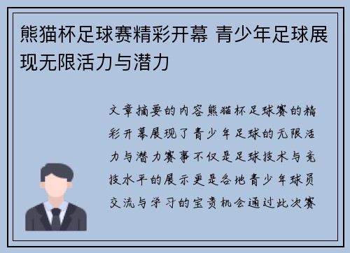 熊猫杯足球赛精彩开幕 青少年足球展现无限活力与潜力