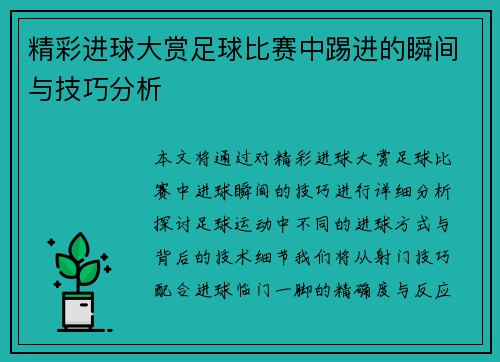 精彩进球大赏足球比赛中踢进的瞬间与技巧分析